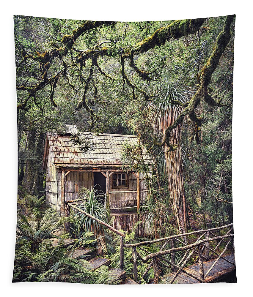 Kremsdorf Tapestry featuring the photograph Woodland Mysteries by Evelina Kremsdorf