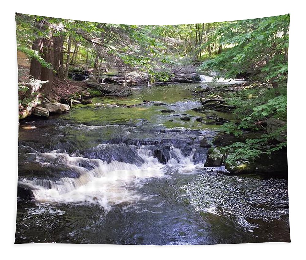 Woods Tapestry featuring the photograph Woodland Revery by Judith Rhue
