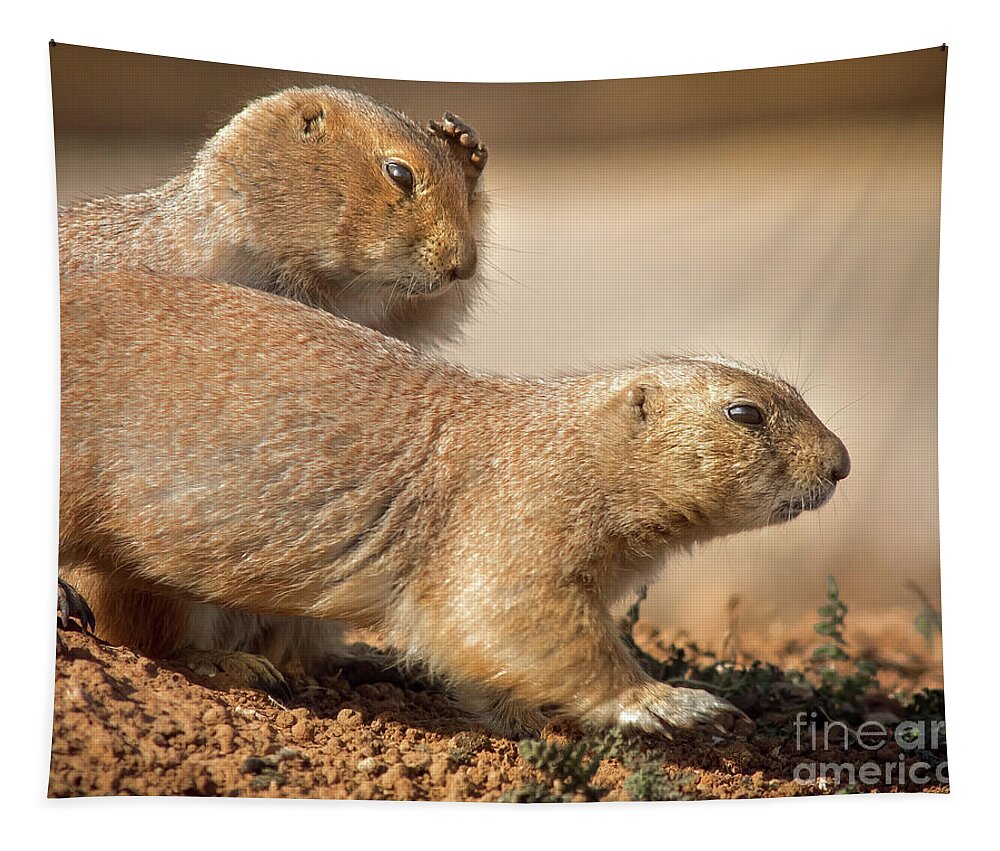 Nature Tapestry featuring the photograph Worried Prairie Dog by Robert Frederick