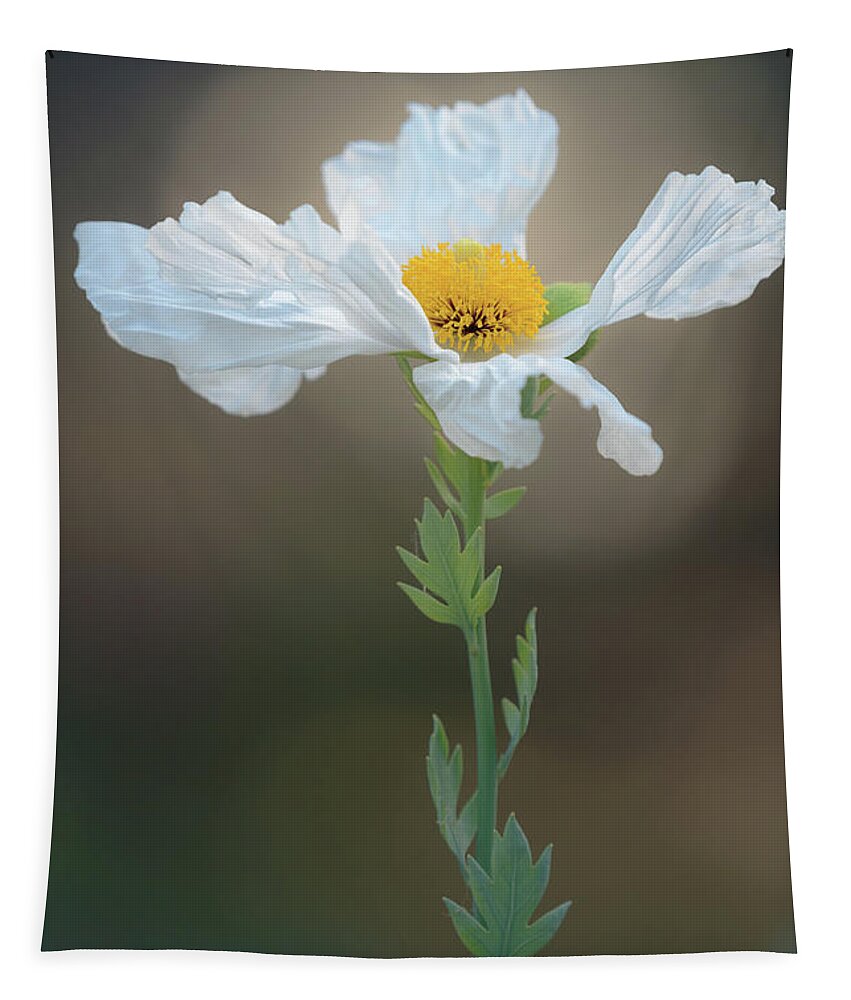 Poppy Tapestry featuring the photograph Wrinkles on Your Innocence by Alexander Kunz