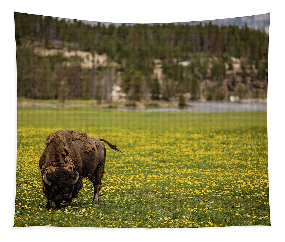 Scenic Tapestry featuring the photograph Wyoming Wild by Gary Migues