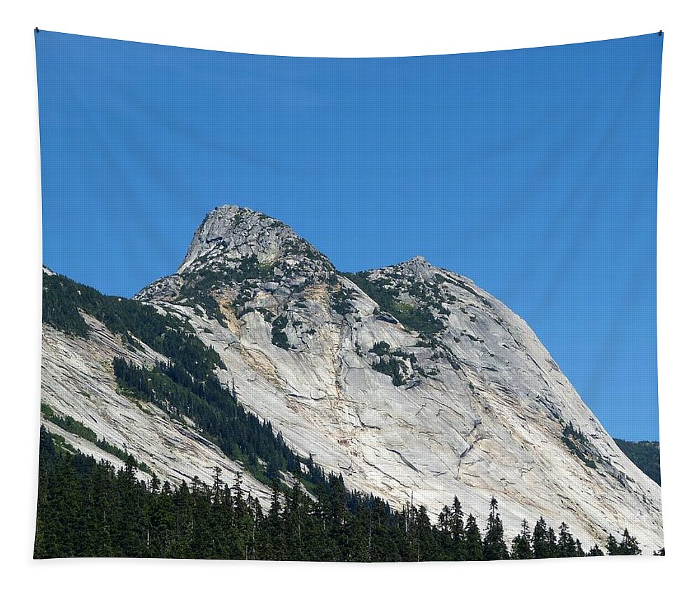#yakpeakcascades Tapestry featuring the photograph Yak Peak by Will Borden