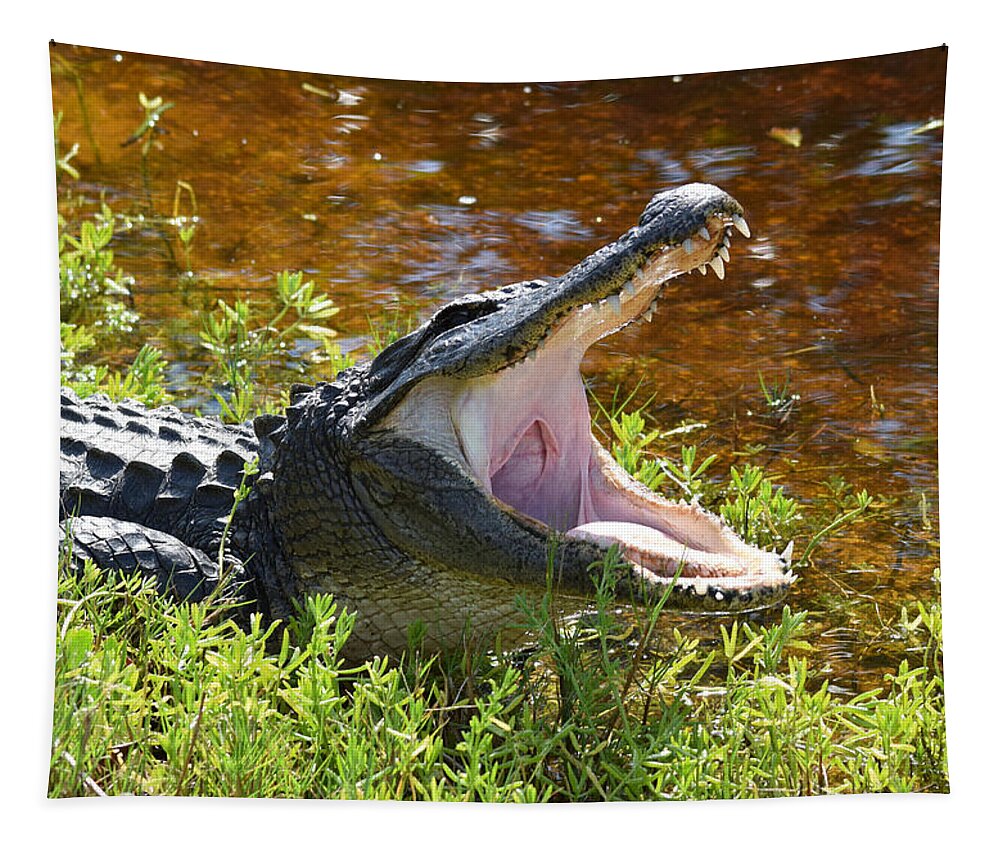 Alligator Tapestry featuring the photograph Yawning by Jim Bennight