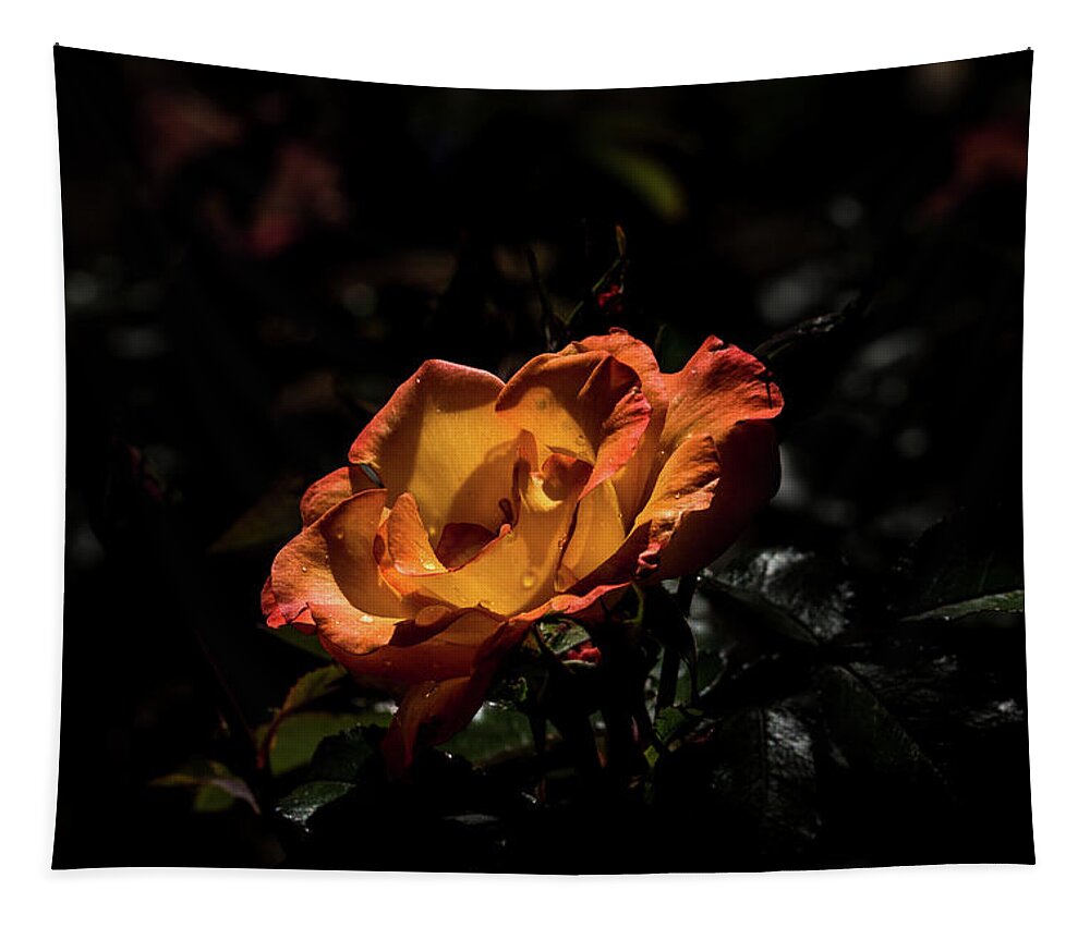 Jay Stockhaus Tapestry featuring the photograph Yellow and Orange by Jay Stockhaus