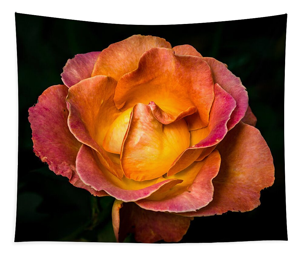 Jay Stockhaus Tapestry featuring the photograph Yellow and Pink by Jay Stockhaus