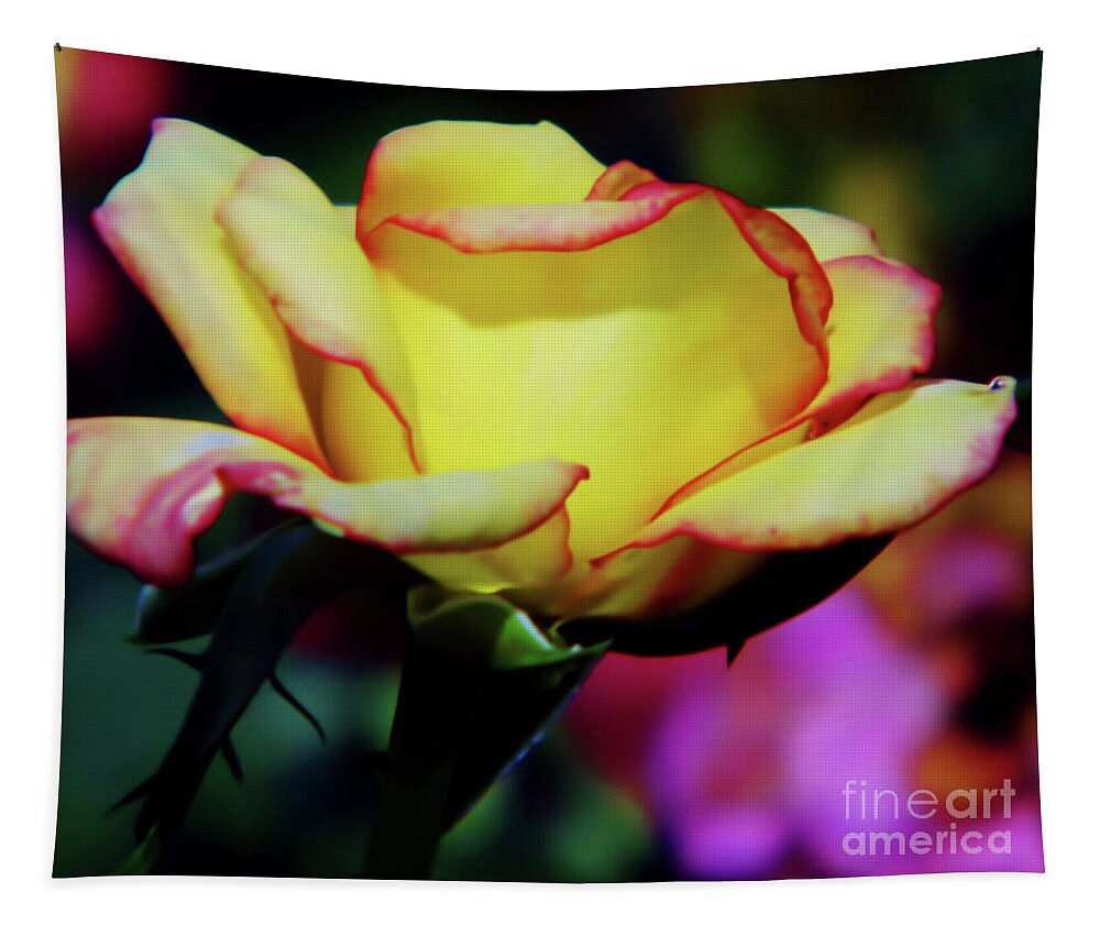 Rose Tapestry featuring the photograph Yellow Beauty by D Hackett