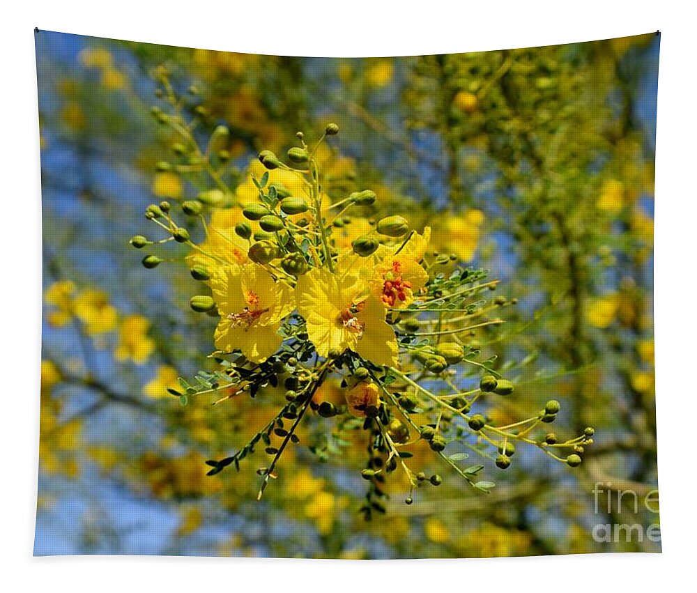 Arizona Tapestry featuring the photograph Yellow Burst Of Spring by Janet Marie