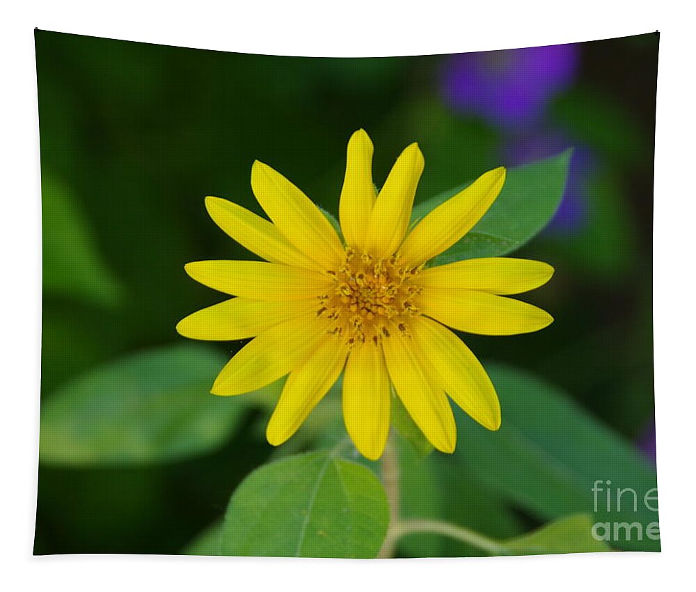 Flower Tapestry featuring the photograph Yellow button by Jeff Swan
