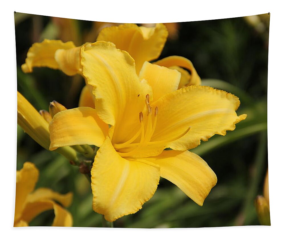 Lily Tapestry featuring the photograph Yellow Daylily by Allen Nice-Webb