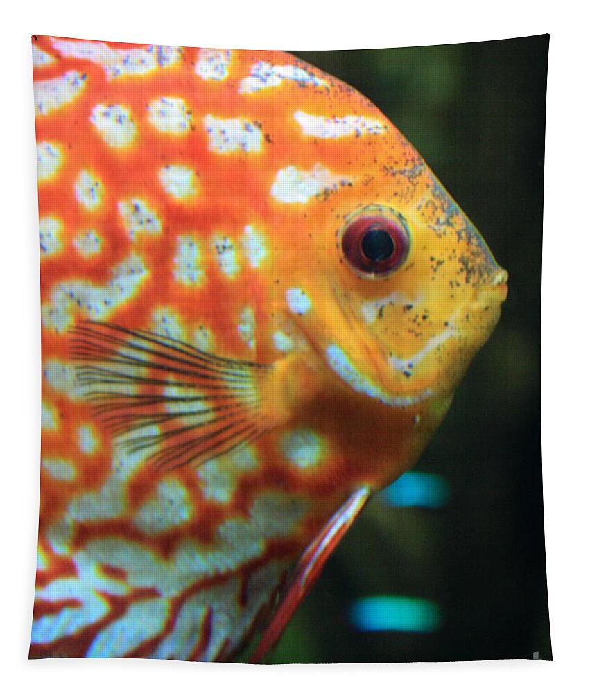 Fish Tapestry featuring the photograph Yellow Fish Profile by Carol Groenen