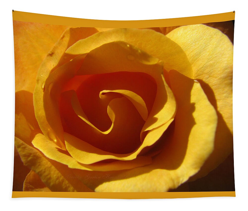 Roses Tapestry featuring the photograph Yellow Gold Swirl - Rose Macro by Brooks Garten Hauschild