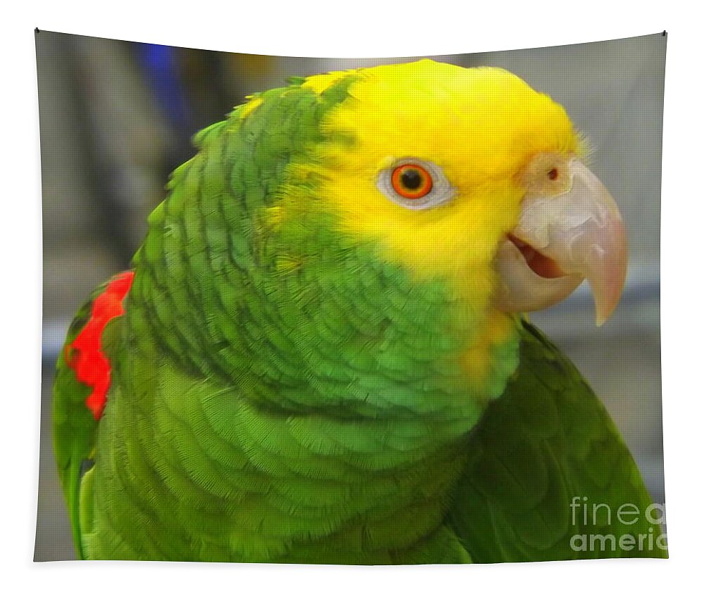 Amazon Tapestry featuring the photograph Yellow-headed Amazon Parrot by Lingfai Leung