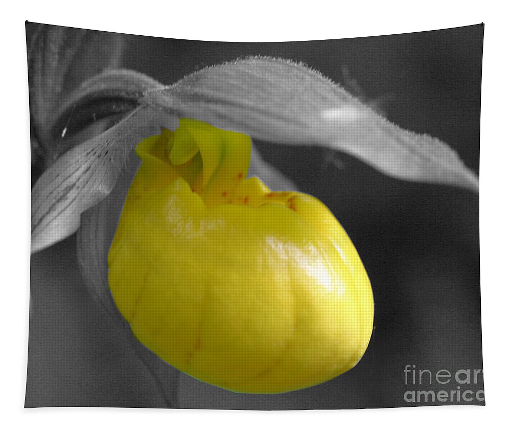 Lady Slipper Tapestry featuring the photograph Yellow Lady Slipper Partial by Smilin Eyes Treasures