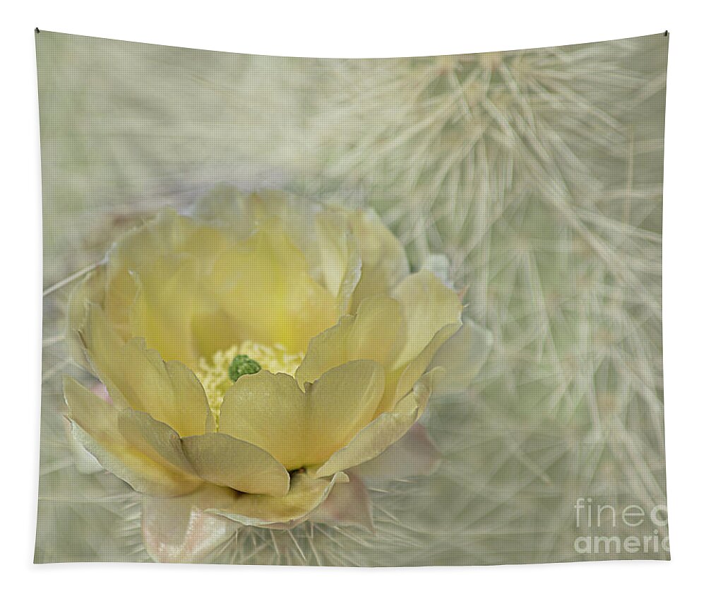 Cactus Flower Tapestry featuring the photograph Yellow Morning by Elisabeth Lucas