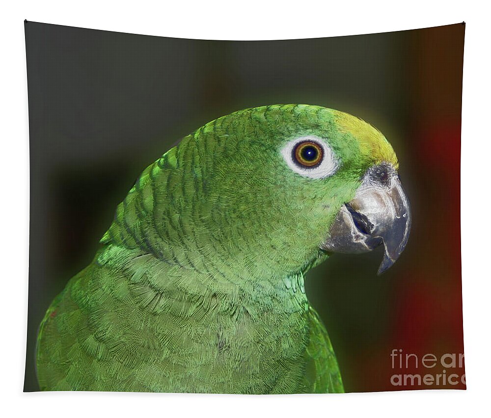 Parrot Tapestry featuring the photograph Yellow Naped Amazon Parrot by Smilin Eyes Treasures