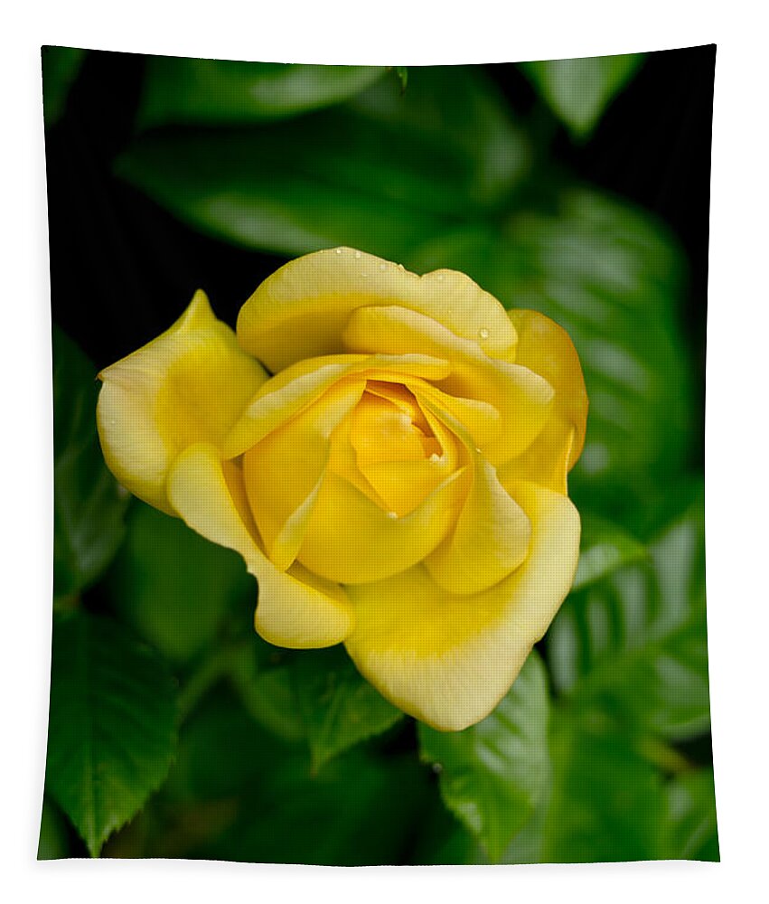 Rose Tapestry featuring the photograph Yellow on green. by Elena Perelman