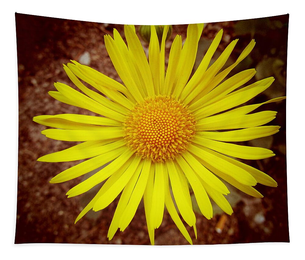 Flower Tapestry featuring the photograph yellow Spring by Vesna Martinjak