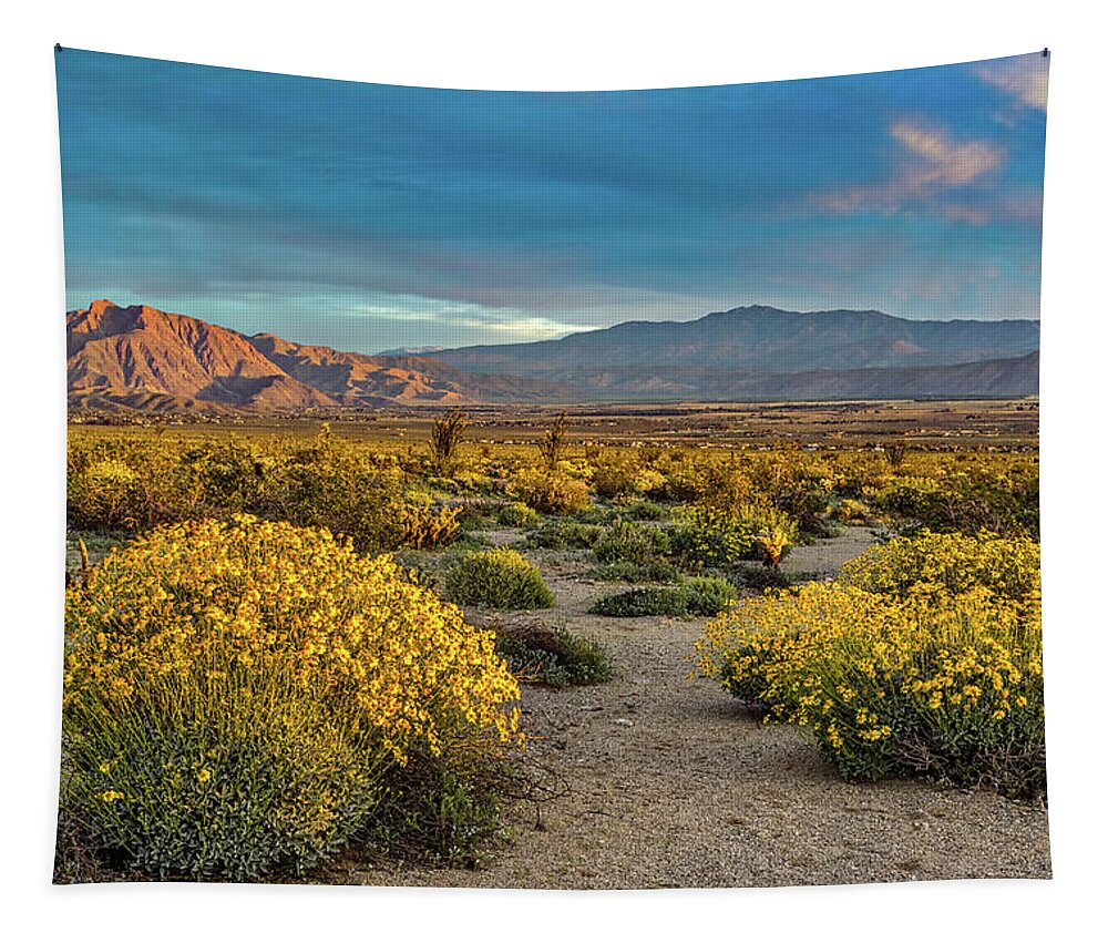 Anza-borrego Desert Tapestry featuring the photograph Yellow Sunrise by Peter Tellone