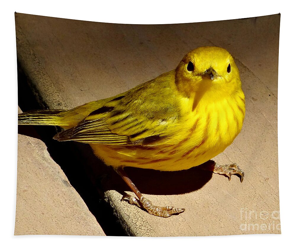 © 2017 Tapestry featuring the photograph Yellow Warbler by Christopher Plummer