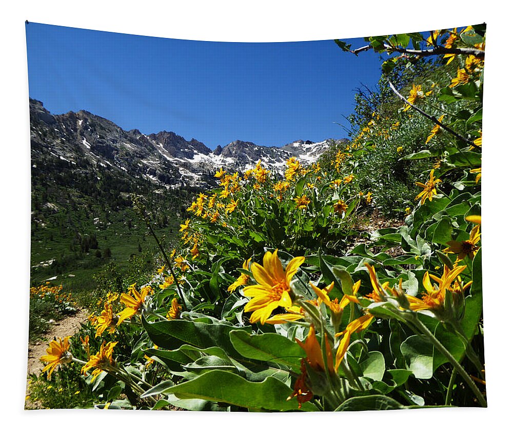 Island Lake Tapestry featuring the photograph Yellow Wildflowers by Alan Socolik