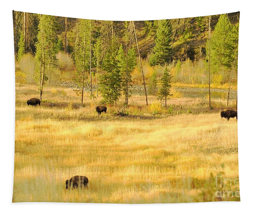 Yellowstone National Park Tapestry featuring the photograph Yellowstone Bison by Merle Grenz