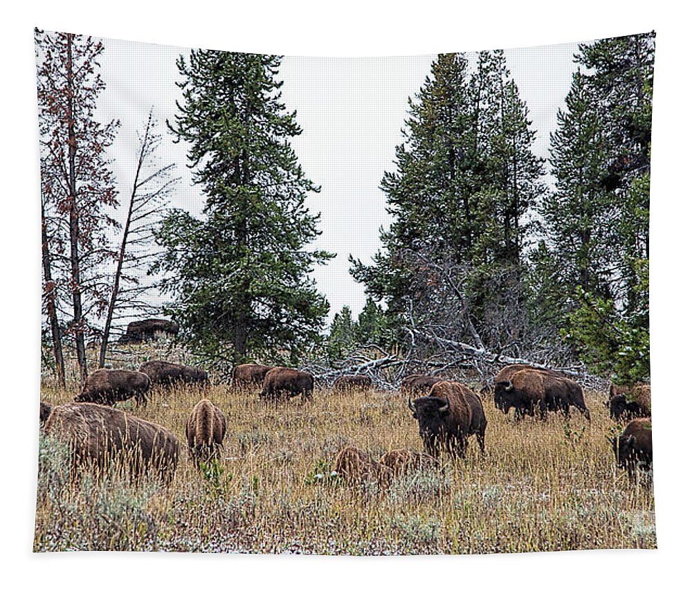 Yelowstone Tapestry featuring the photograph Yellowstone Buffalo by Jim Garrison