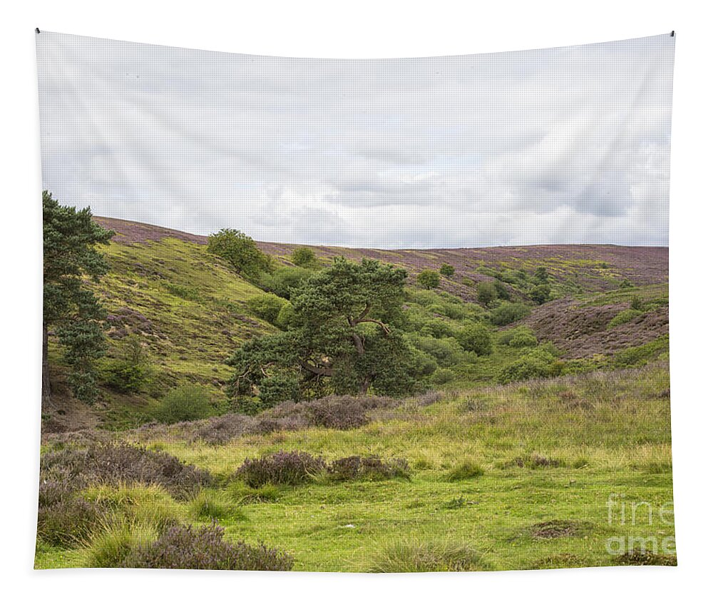 Lastingham Tapestry featuring the photograph Yorkshire moors with blossoming heather by Patricia Hofmeester