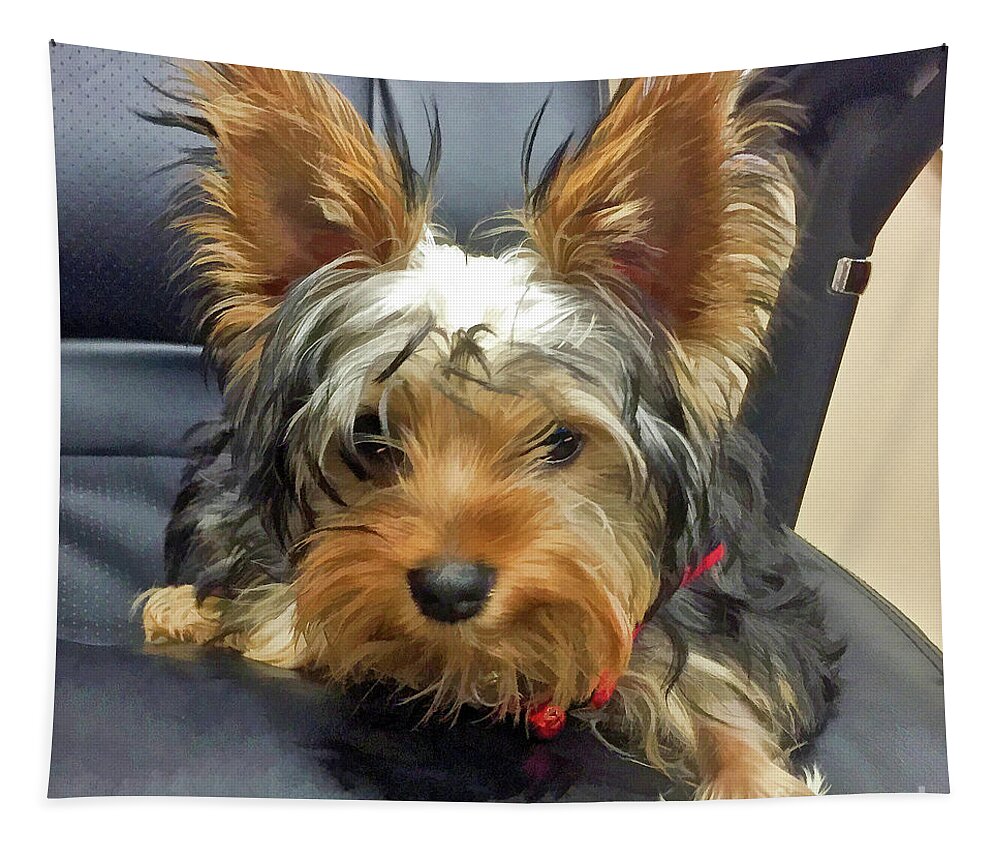 Yorkshire Terrier Tapestry featuring the photograph Yorkshire Terrier by Kathy Baccari