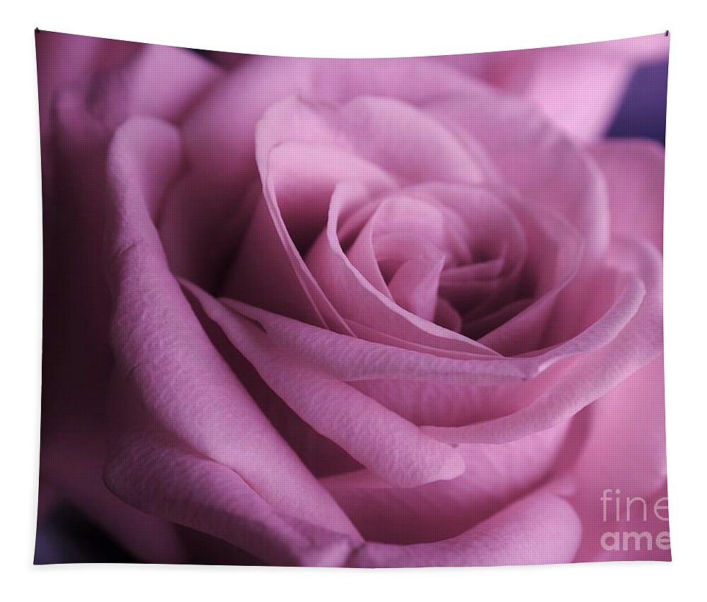 Roses Tapestry featuring the photograph You Make Me Blush by Janet Marie