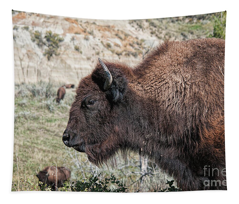 Bison Tapestry featuring the photograph Young Bison by Craig Leaper