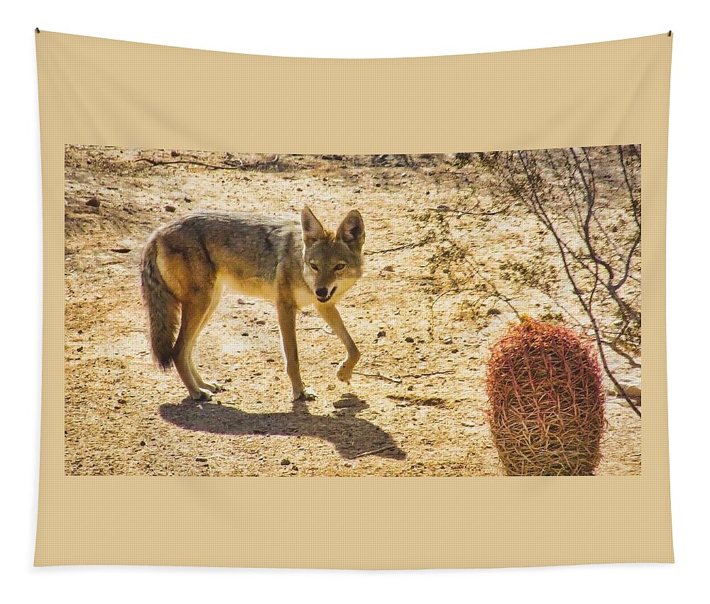 Arizona Tapestry featuring the photograph Young Coyote and Cactus by Judy Kennedy