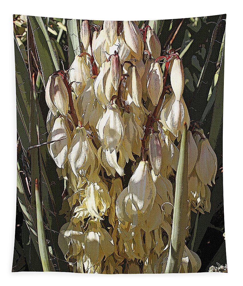 Yucca In Arizona Tapestry featuring the photograph Yucca In Arizona by Tom Janca