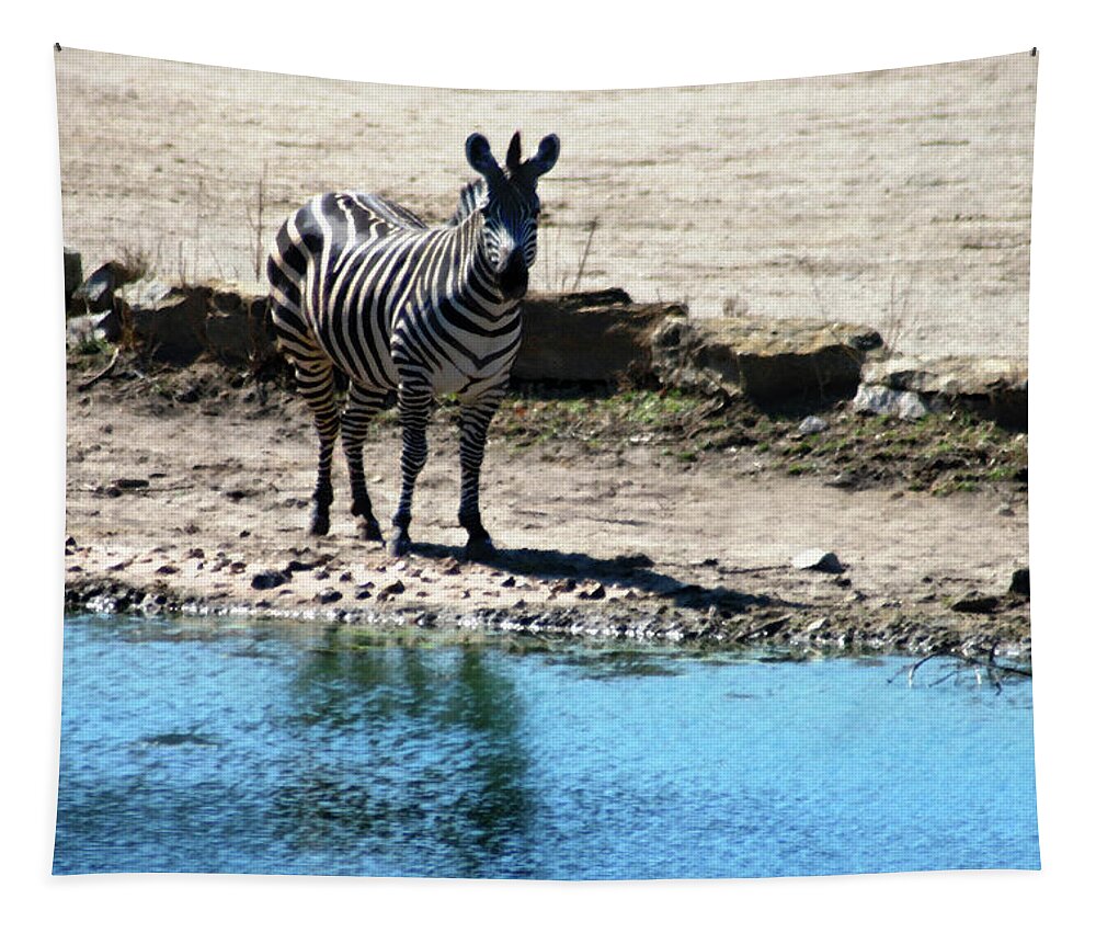 Zebra Tapestry featuring the mixed media Zebra at the watering hole by Steve Karol