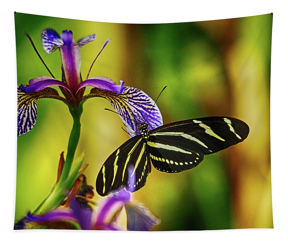 Butterfly Tapestry featuring the photograph Zebra Longwing on Iris by C H Apperson