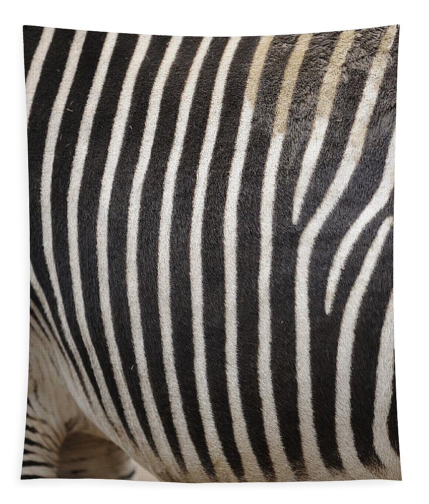 Grant's Zebra Tapestry featuring the photograph Zebra Pattern by David & Micha Sheldon