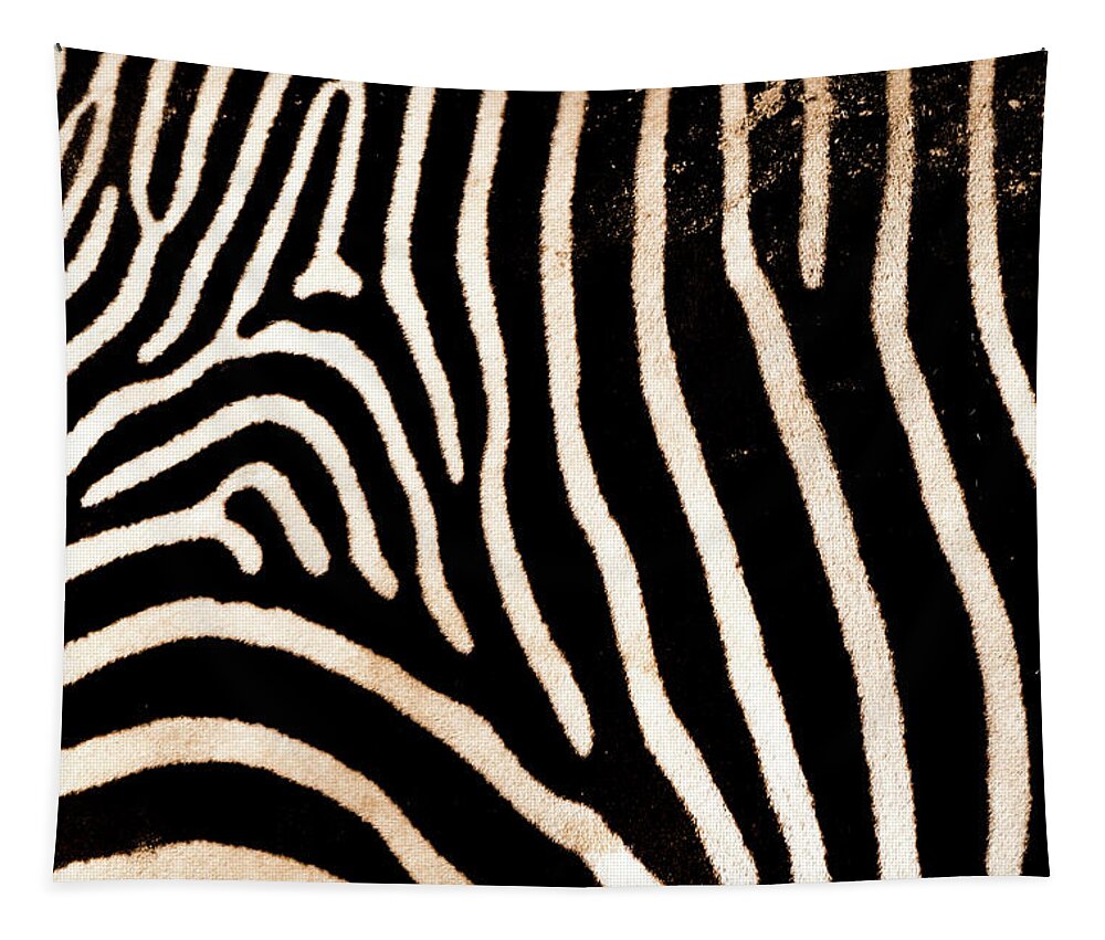 Jay Stockhaus Tapestry featuring the photograph Zebra Stripes by Jay Stockhaus