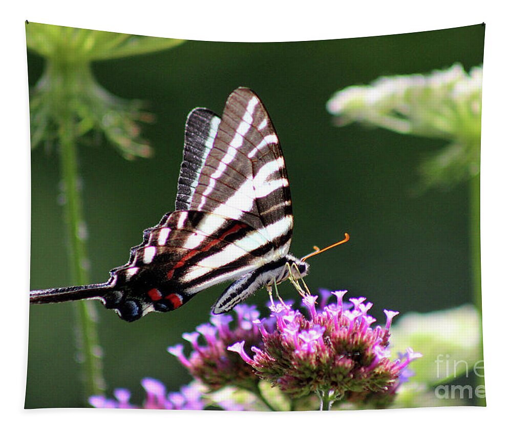 Zebra Tapestry featuring the photograph Zebra Swallowtail Butterfly In July by Karen Adams