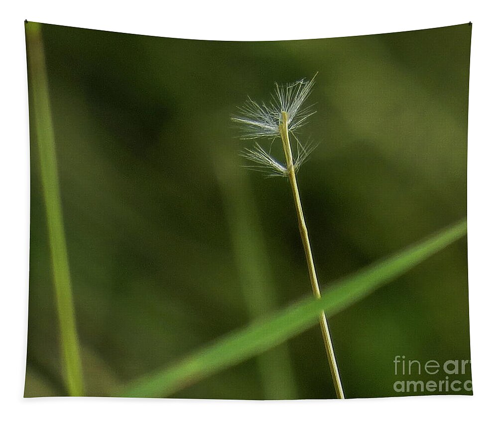 Wild Tapestry featuring the photograph Zen 1 by Christy Garavetto