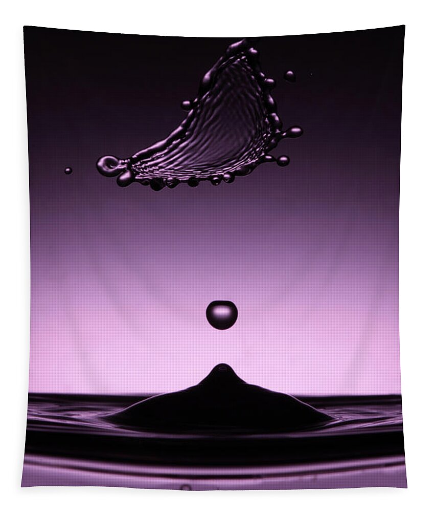 Minimalism Tapestry featuring the photograph Zen Balance. Water Splash by Dmitry Soloviev