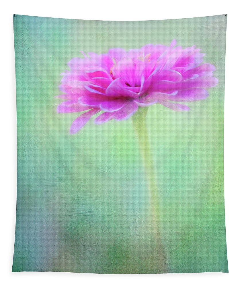 Zinnia Tapestry featuring the photograph Painted Pink Zinnia by Anita Pollak
