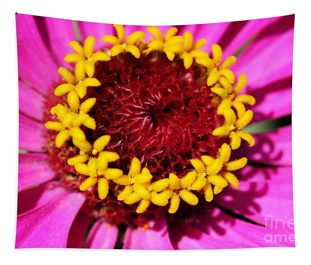 Pink Tapestry featuring the photograph Zinnia Macro by Angela Rath
