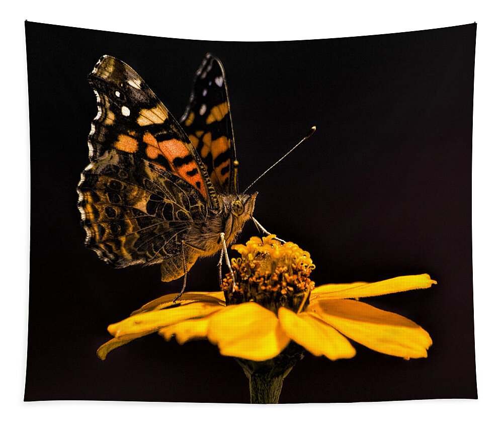 Butterfly Tapestry featuring the photograph Zinnia Sipping by Alana Thrower