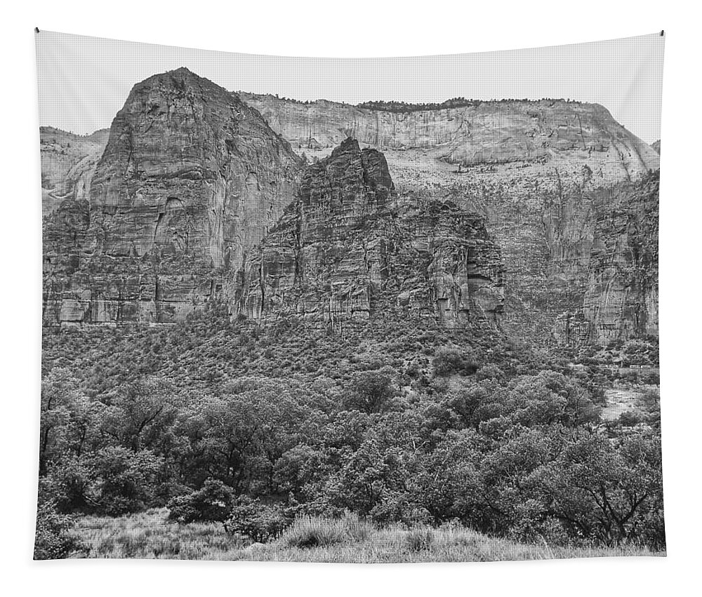 Photography Tapestry featuring the photograph Zion Canyon Monochrome by Dan Miller
