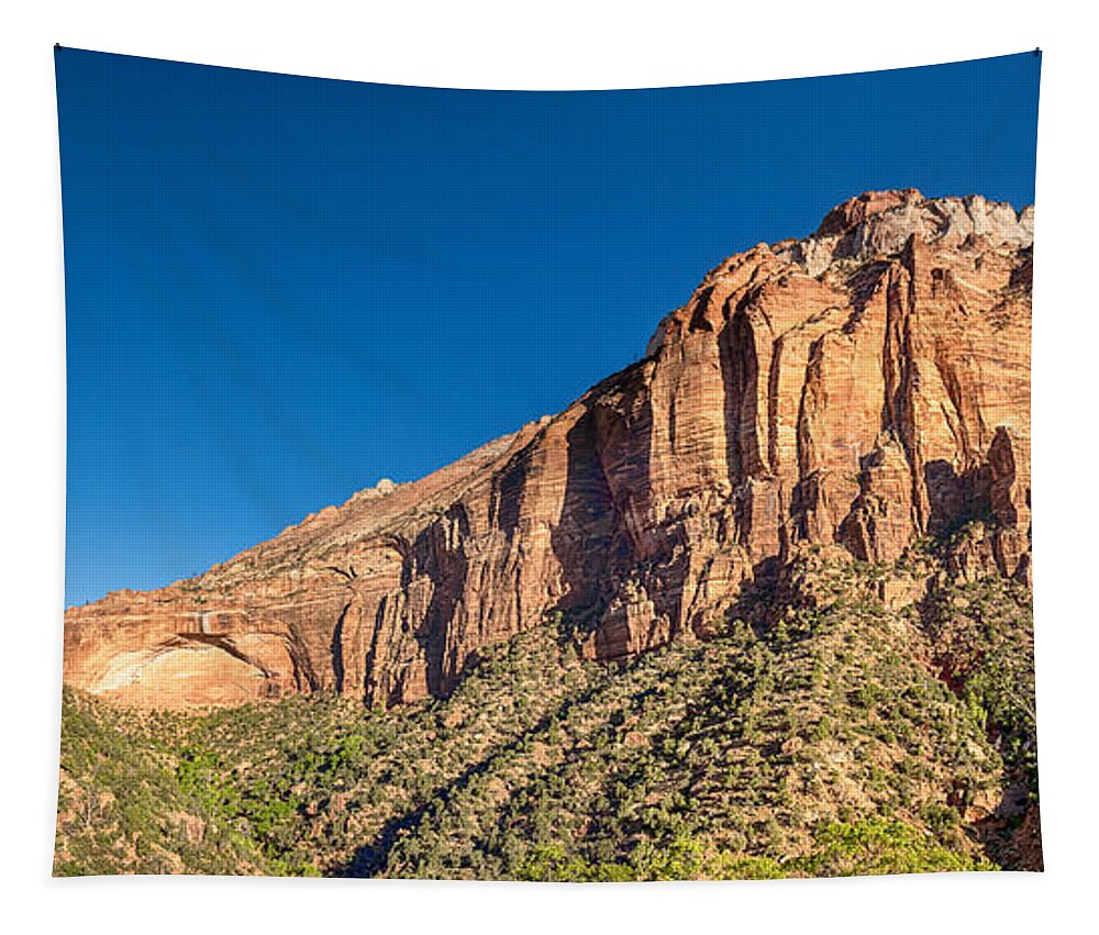 Zion National Park Tapestry featuring the photograph Zion National Park Panorama by James BO Insogna