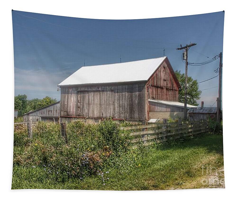 Barn Tapestry featuring the photograph 0334 - Castle Road Cow Barn I by Sheryl L Sutter