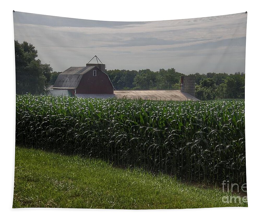 Barn Tapestry featuring the photograph 0364 - Pierson Road Red Above the Corn by Sheryl L Sutter
