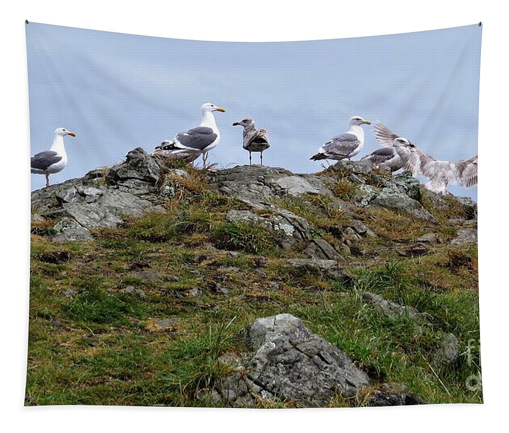 Seagulls Tapestry featuring the photograph 1 - A Flock Of Clever Seagulls by Linda Vanoudenhaegen