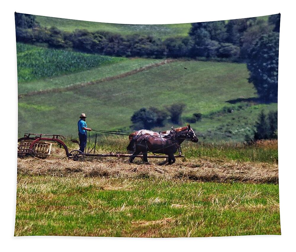 Amish Tapestry featuring the photograph Amish farming #1 by Susan Jensen