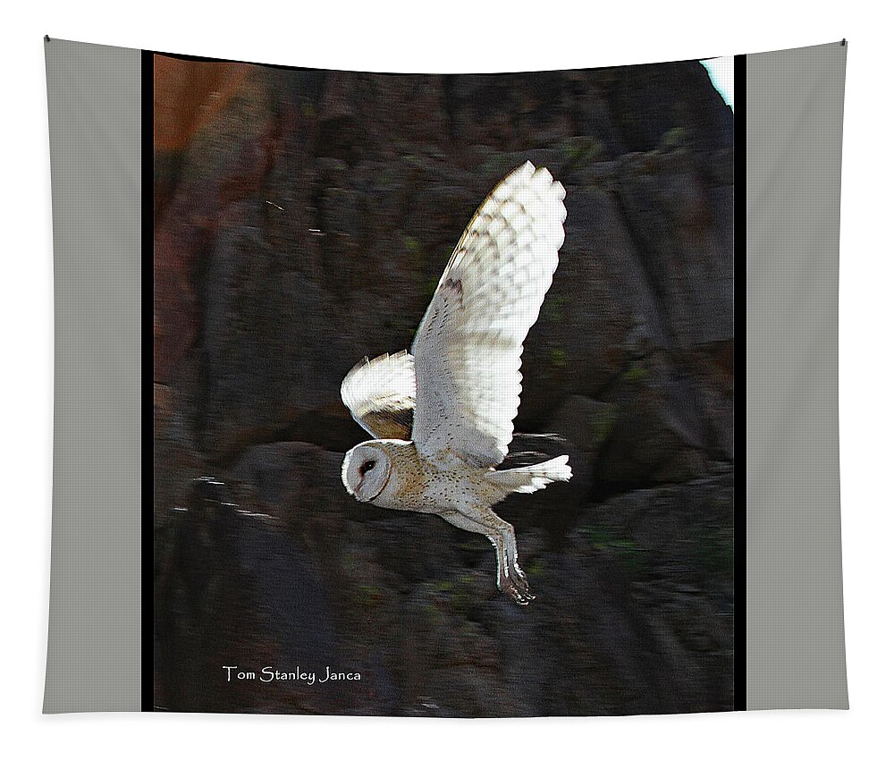 Barn Owl At My Gold Mine Tapestry featuring the digital art Barn Owl At My Gold Mine #1 by Tom Janca