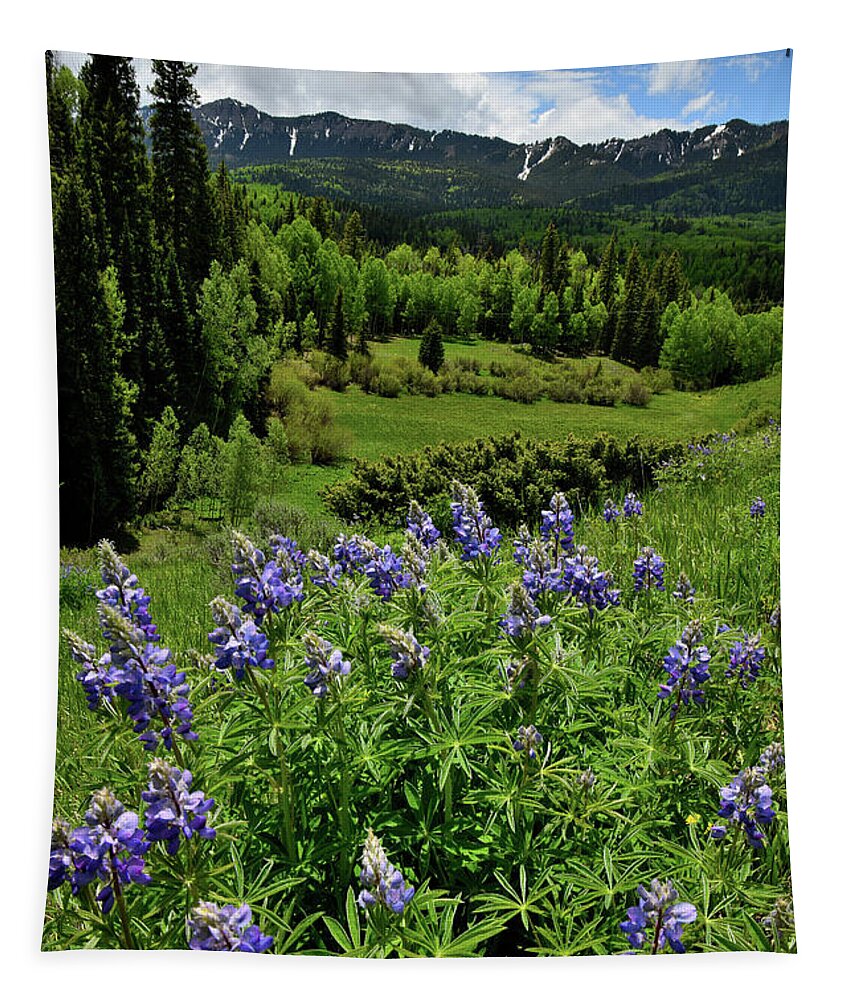 Highway 50 Tapestry featuring the photograph Big Cimarron Road in Colorado #1 by Ray Mathis